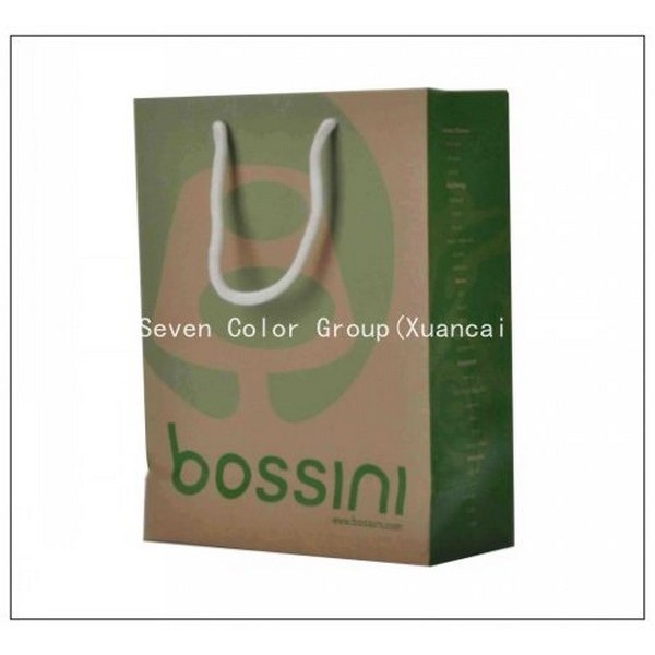 Shopping Paper Bags With Cotton Handles 